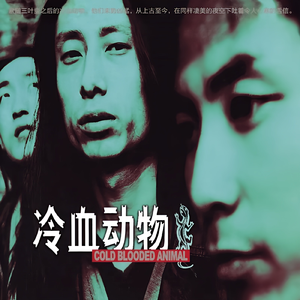 特级大黄AAAAAA片
