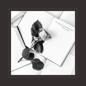 特级大黄AAAAAA片
